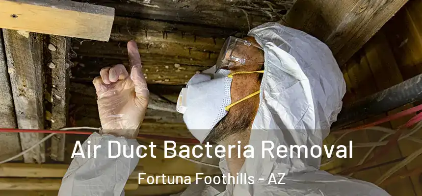  Air Duct Bacteria Removal Fortuna Foothills - AZ