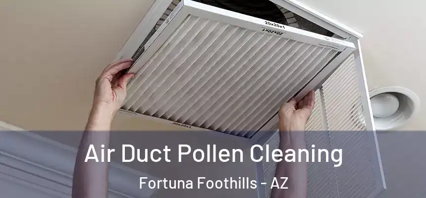  Air Duct Pollen Cleaning Fortuna Foothills - AZ
