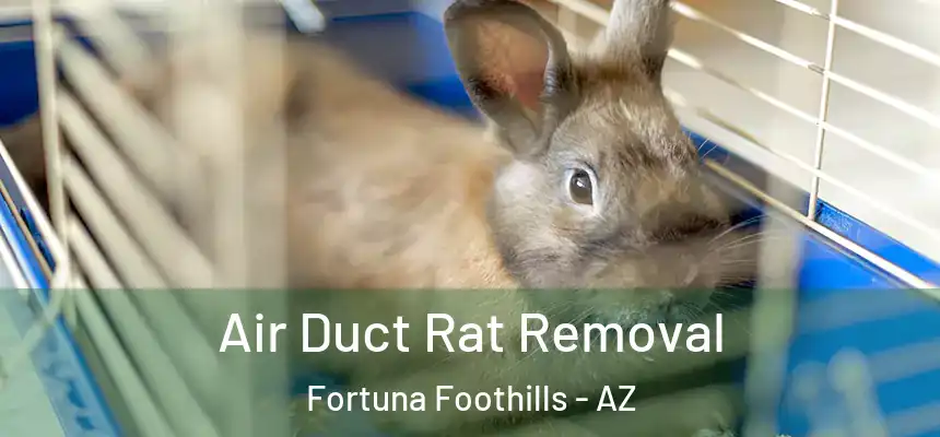  Air Duct Rat Removal Fortuna Foothills - AZ