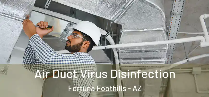  Air Duct Virus Disinfection Fortuna Foothills - AZ