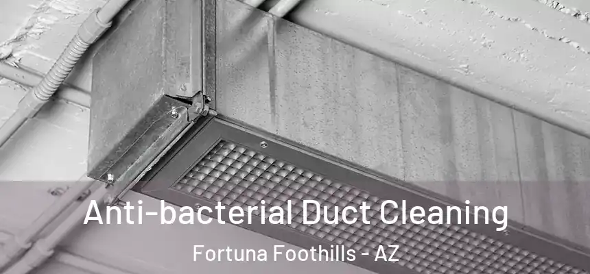  Anti-bacterial Duct Cleaning Fortuna Foothills - AZ