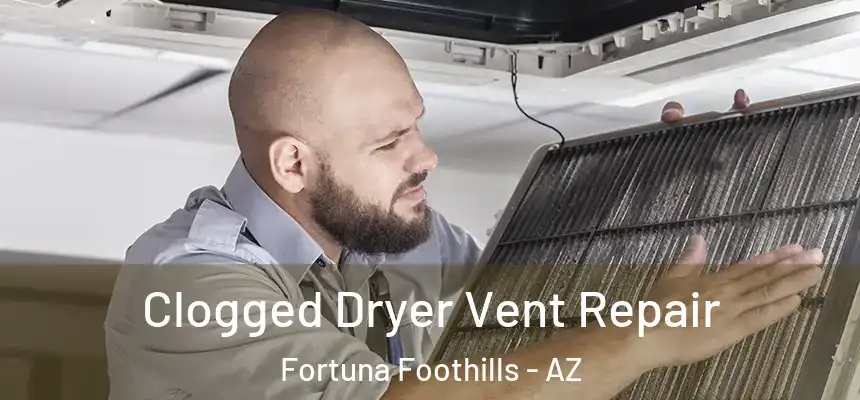  Clogged Dryer Vent Repair Fortuna Foothills - AZ