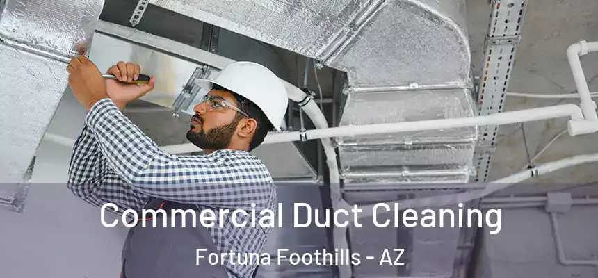 Commercial Duct Cleaning Fortuna Foothills - AZ