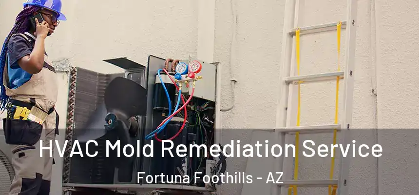  HVAC Mold Remediation Service Fortuna Foothills - AZ