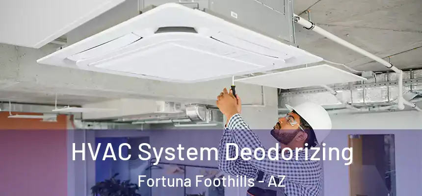  HVAC System Deodorizing Fortuna Foothills - AZ