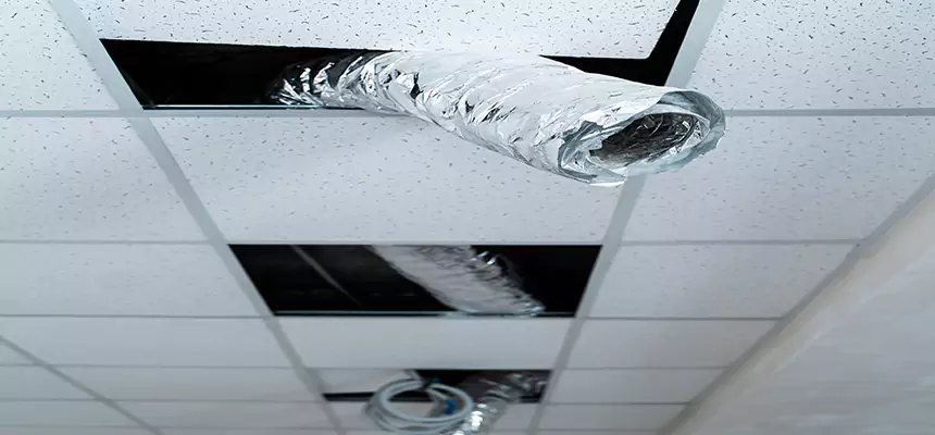 Our Air Duct Pet Hair Removal Services in Fortuna Foothills, AZ