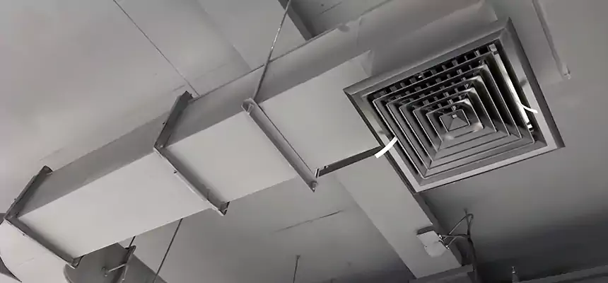 Restorative Allergy Relief Vent Cleaning – Coil, Blower & Housing Detail in Fortuna Foothills