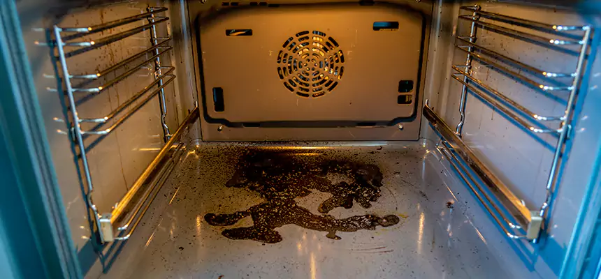 Our Dryer Vent Mold Cleaning Services in Fortuna Foothills, AZ