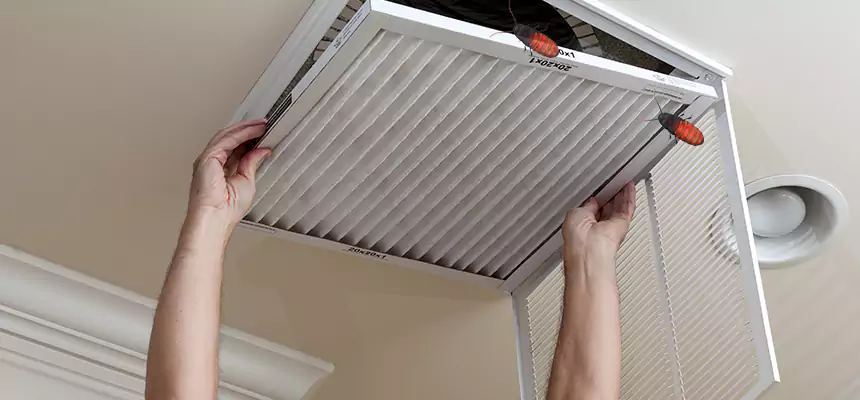 Our Insect Removal from Air Ducts Services in Fortuna Foothills, AZ