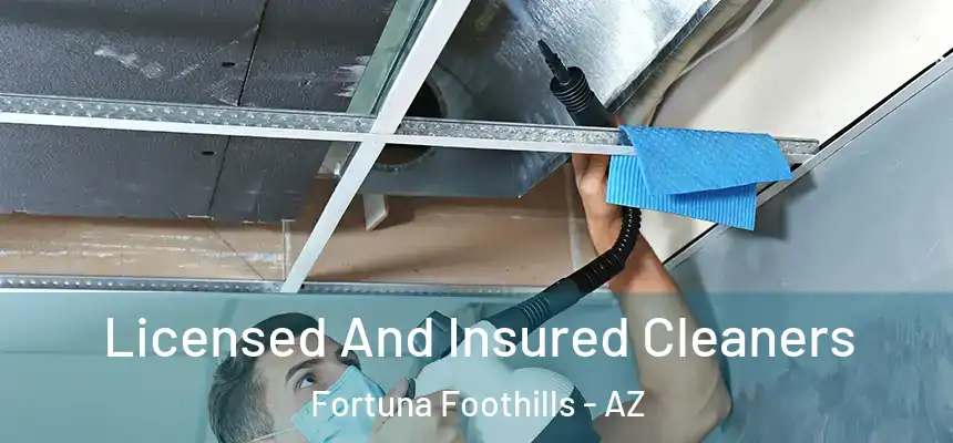  Licensed And Insured Cleaners Fortuna Foothills - AZ