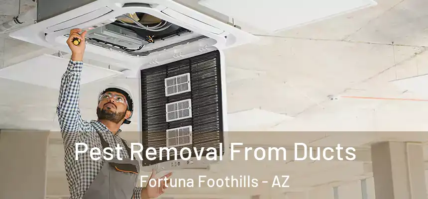  Pest Removal From Ducts Fortuna Foothills - AZ