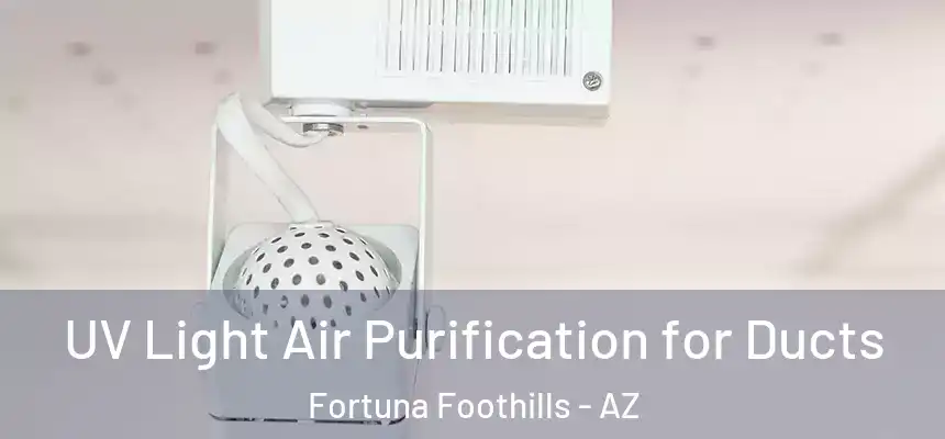  UV Light Air Purification for Ducts Fortuna Foothills - AZ