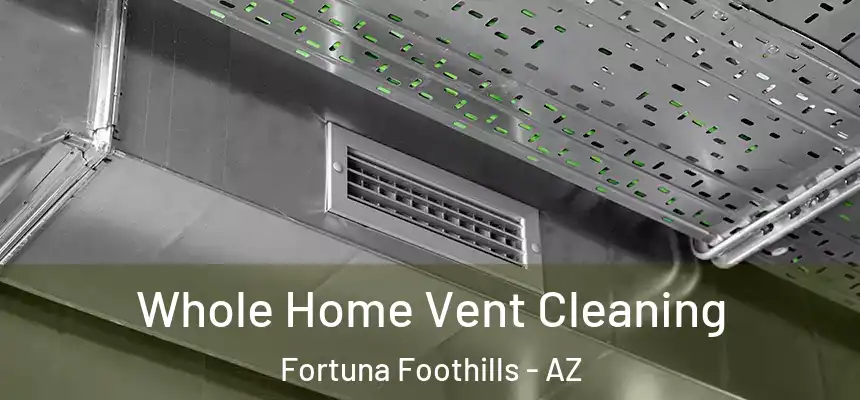  Whole Home Vent Cleaning Fortuna Foothills - AZ